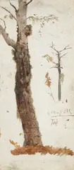 Andreas Achenbach, Tree trunk, Oil on canvas