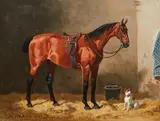 Emil Volkers, Saddled Bay in the Stable with a Dog
