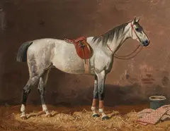 Saddled grey horse in stable by Emil Volkers, Oil on canvas, sold May 2025