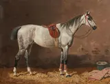 Emil Volkers, Saddled grey horse in stable