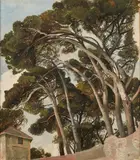 Edmund Kanoldt, Pine study, Oil on canvas, mounted on cardboard