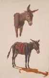 Heinrich Bürkel, Ass studies, Oil on paper