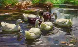 Alexander Koester, Seven Ducks on a Pond, Oil on canvas