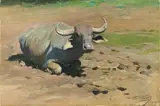 Wilhelm Kuhnert, A Resting Buffalo, Oil on canvas