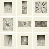 Louise Bourgeois, Ode à ma mère, 1995, 9 dry point engravings on card.. Each