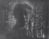 Edward Steichen, Girl in the pinewoods