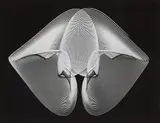 Heinrich Heidersberger, 10 Rhythmograms, c. 1956, 10 vintage ferrotyped gelatin silver prints on various Agfa papers. From