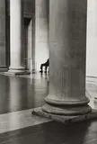 Elliott Erwitt, Tate Gallery, London