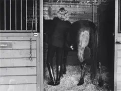 Helmut Newton, Woman with Horse, Burbank (Los Angeles), 1987, Gelatin silver print mounted on aluminum