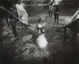 Sally Mann, The Ditch, 1981, Selenium toned gelatin silver print on Agfa paper