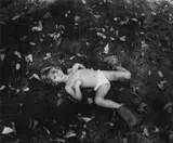 Sally Mann, Dirty Jessie, 1985, Selenium toned gelatin silver print