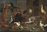 copy after Adriaen van Utrecht, Poultry Farm with two Peacocks, Turkeys and Ducks, Oil on canvas (relined)