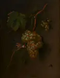 Tobias Stranovius, Still Life with Grapes and a Goldfinch, Oil on canvas (relined)