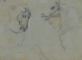 attributed to Nicolaes Berchem, Horse Studies, Black chalk on tinted paper