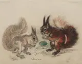 Two squirrels by Ludwig Heinrich Jungnickel, Charcoal, red chalk and watercolour, sold Nov 2024