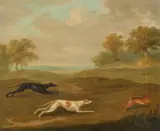 John Nost Sartorius, Pair of Paintings with Hunting Dogs, Oil on canvas (relined). 36 x 43.5 and