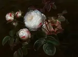Johan Laurentz Jensen, Still Life with White Roses, Oil on panel