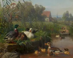 Carl Jutz the Elder, Ducks and Poultry at a Water Pond and Farmstead in the Background, Oil on panel