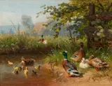 Carl Jutz the Elder, Ducks by the Banks of a Pond