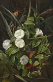 Johan Laurentz Jensen, Still Life with white Winds, Reeds, Rose Hips and two Butterflies