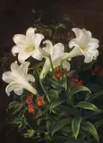 Johan Laurentz Jensen, Still life with white lilies and blooming Lubera climbing vines