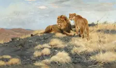 Wilhelm Kuhnert, Lion and Lioness observing their Surroundings from a Hill, Oil on canvas