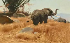 Wilhelm Kuhnert, Elephant in the Savannah, Oil on canvas