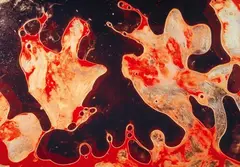 Andres Serrano, Semen & Blood I (from the series: Bodily fluids), 1990, Cibachrome print, face-mounted to plexiglass