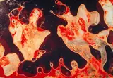 Andres Serrano, Semen & Blood I (from the series: Bodily fluids)