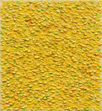 Kuno Gonschior, Gelb, 1997, Oil and acrylic on canvas