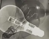 Edmund Kesting, Untitled (Light Bulbs)