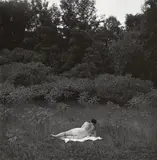 Harry Callahan, Eleanor, Port Huron, 1954, Gelatin silver print, printed later