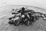 Robert Lebeck, Am Strand von Cayar, Senegal