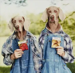 William Wegman, The McDoubles. Onion/Tomato (from the series: Farm Days), 1997, 2 chromogenic prints on Fujicolor-Crystal-Archive paper. Each