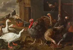 Adriaen van Utrecht, Poultry Farm with Turkeys, Geese and Hens, Oil on canvas (relined)
