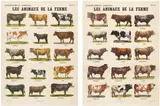 Marcel Broodthaers, Les Animaux de la Ferme, 1974, 2-part work: each offset print on card. Each