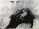 Sigmar Polke, Untitled
