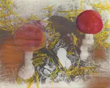Sigmar Polke, Untitled, 1975, Photo emulsion, acrylic and spray paint on canvas