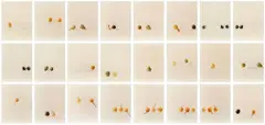 Elger Esser, Kürbisse, 1997, 24 chromogenic prints on plastic board, face-mounted to plexiglass, printed 1998. Each