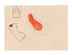 Rosemarie Trockel, Untitled (Women's backs), 1987, Gouache and watercolour on paper