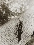 Untitled by Dr. Paul Wolff & Alfred Tritschler, 1930s/1940s, Vintage ferrotyped gelatin silver print on Agfa-Portriga-Rapid paper, sold Dec 2023