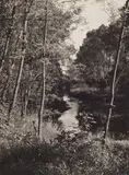 Albert Renger-Patzsch, Altrheinlandschaft