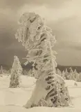 Albert Renger-Patzsch, Aufziehender Schneesturm