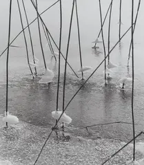 Untitled by Peter Keetman, 1960, Vintage ferrotyped gelatin silver print, sold Dec 2023