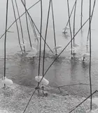 Peter Keetman, Untitled