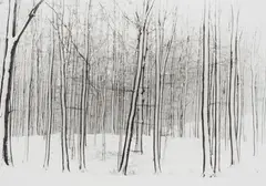 Wolf Strache, Winter Forest on Rügen, 1942, Ferrotyped gelatin silver print on Agfa paper, printed later