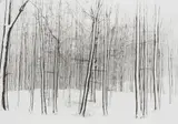Wolf Strache, Winter Forest on Rügen, 1942, Ferrotyped gelatin silver print on Agfa paper, printed later