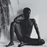 Robert Mapplethorpe, Ron Simms