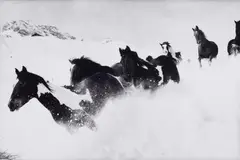 Peter Thomann, Irish Tinker im Tiefschnee, Lech/Arlberg, 2001, Gelatin silver print