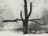 Pentti Sammallahti, Helsinki, Finland